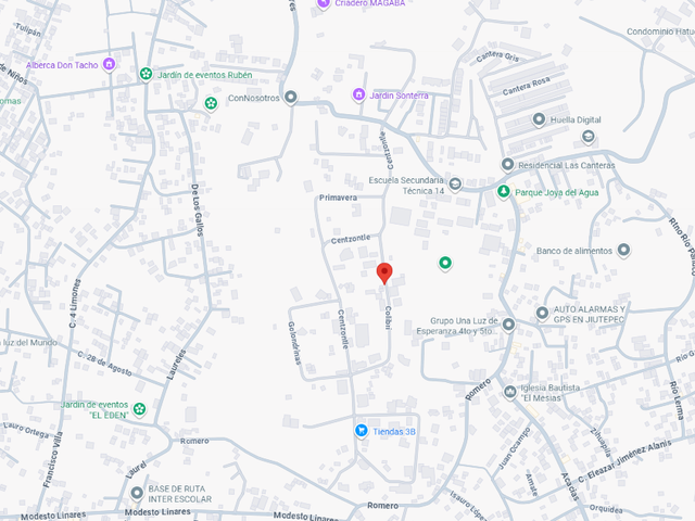 place photo 7