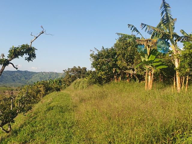place photo 33