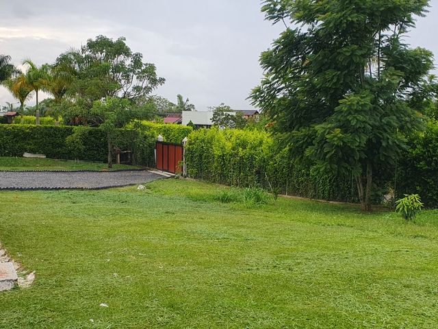 place photo 40