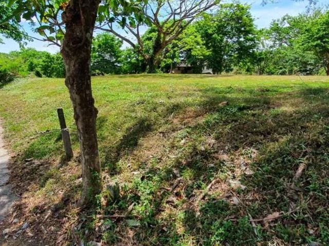 For SALE:  358 Residential Lot in Ayala Westgrove Heights, Silang Cavite (P23.27M)