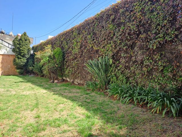 place photo 55