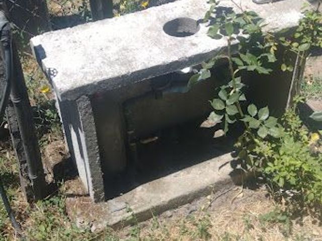 place photo 16