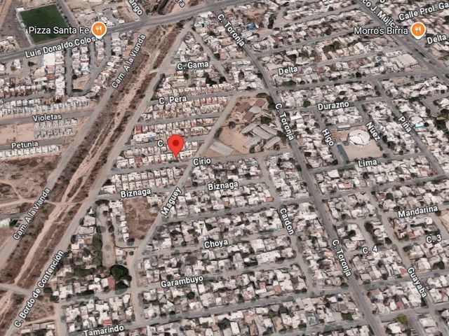place photo 7