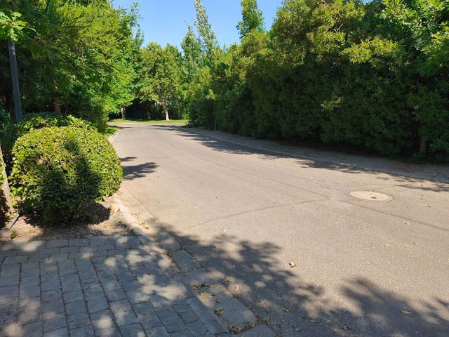 place photo 47