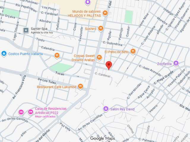 place photo 13
