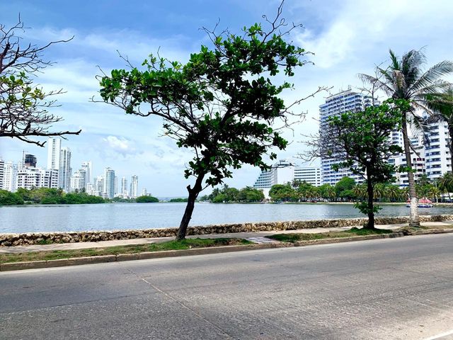 place photo 42
