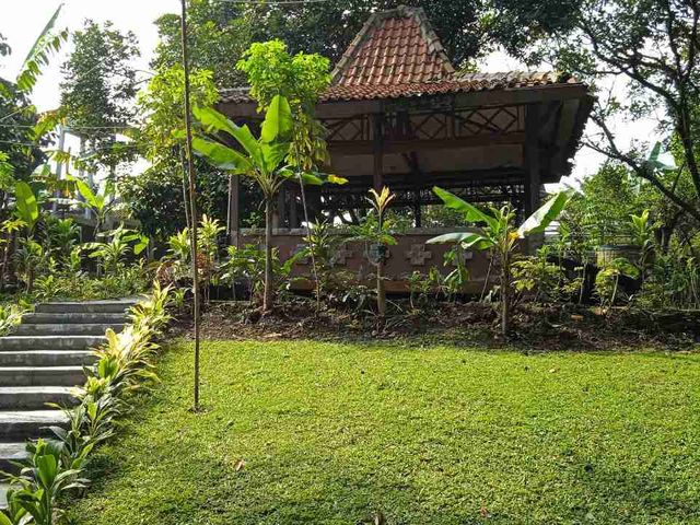 place photo 15