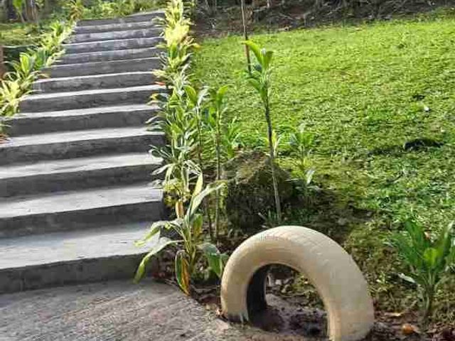 place photo 19