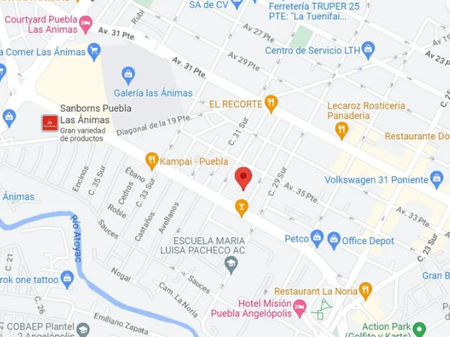 place photo 8
