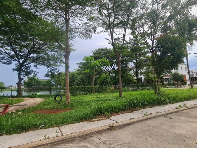place photo 26