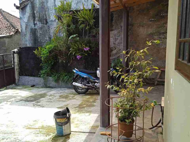 place photo 16