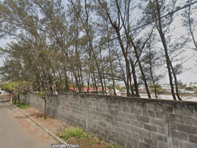 place photo 7