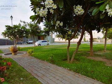 place photo 14