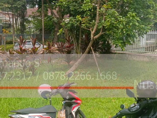 place photo 34