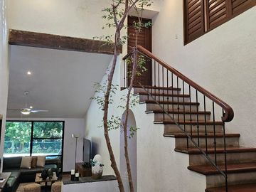 place photo 36