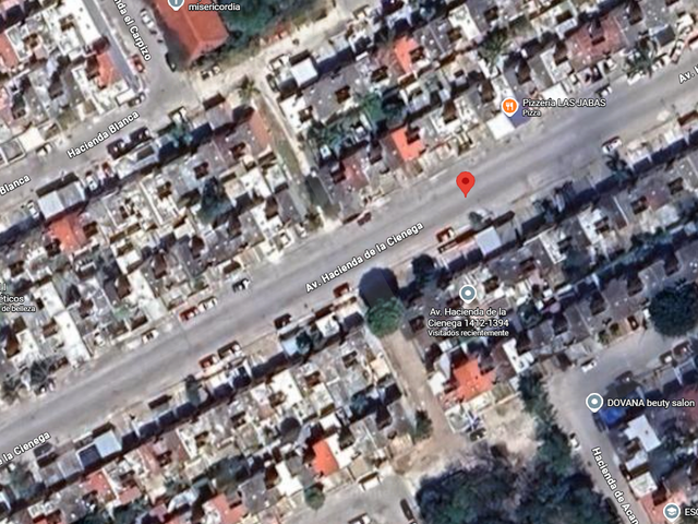place photo 22
