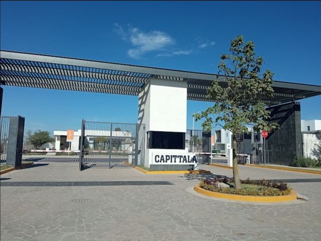 place photo 26