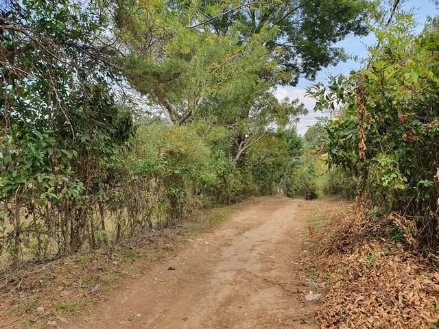 place photo 22