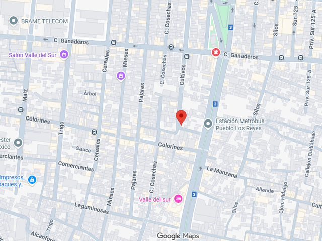 place photo 12