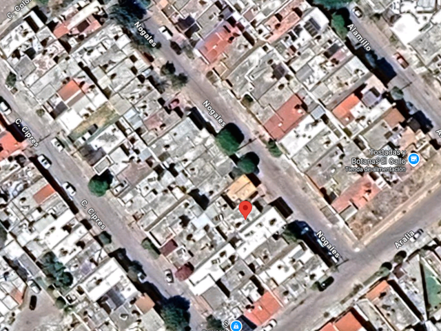 place photo 5