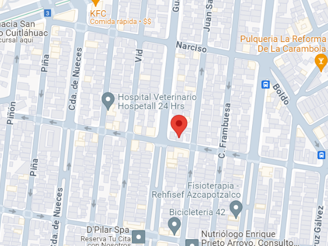 place photo 7