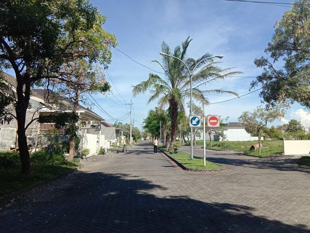 place photo 15