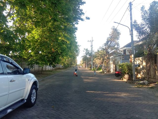 place photo 17