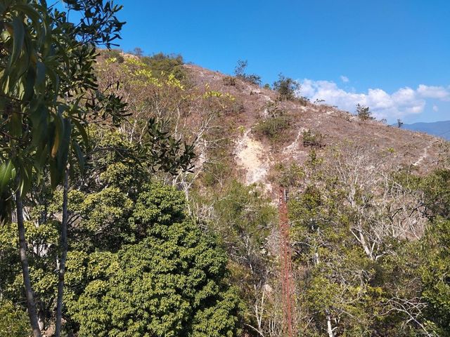 place photo 30