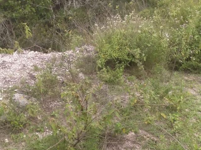 place photo 42