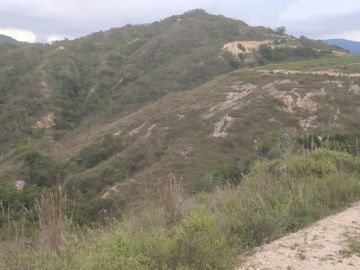 place photo 46