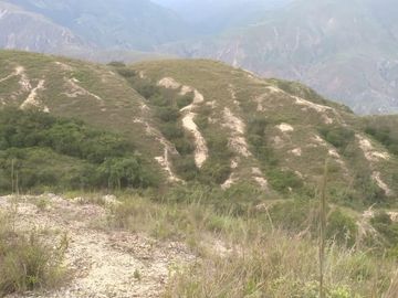 place photo 48