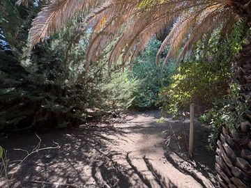 place photo 45