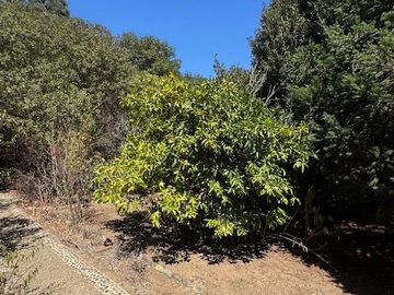 place photo 46