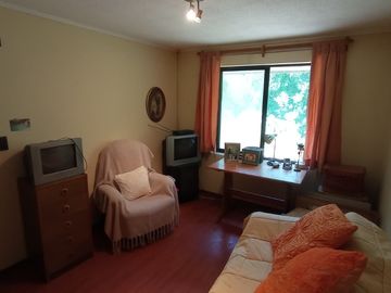 place photo 34