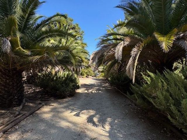 place photo 39