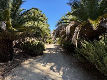 place photo 39