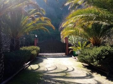 place photo 38