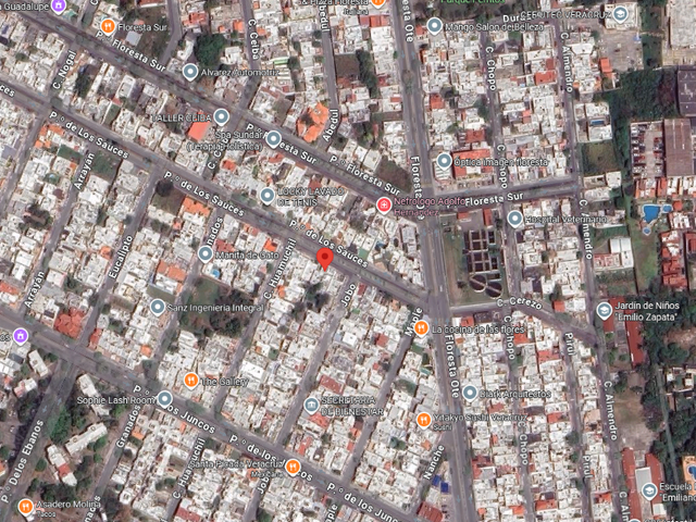 place photo 7