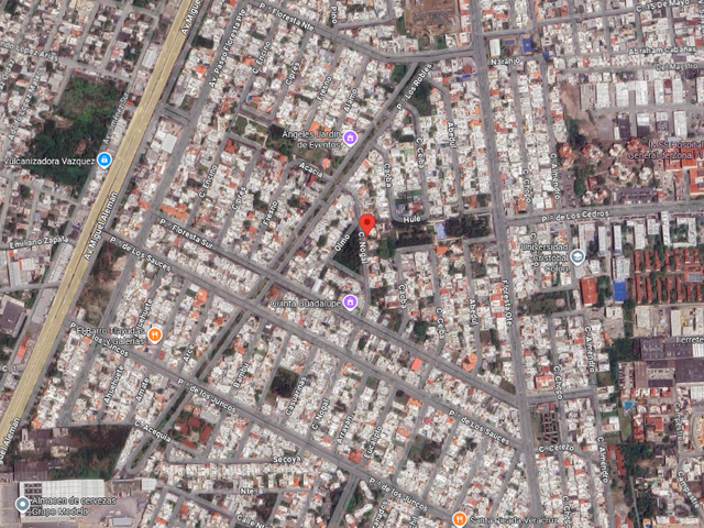 place photo 7