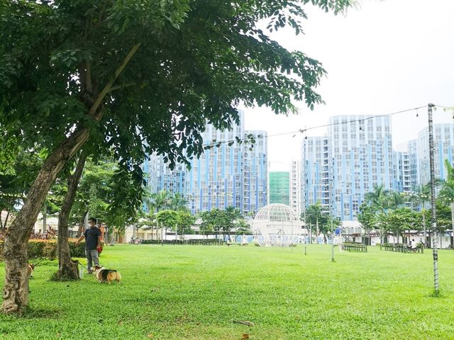 place photo 14