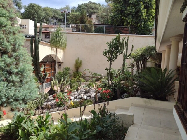 place photo 8