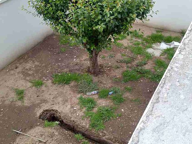 place photo 33