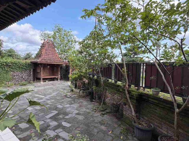 place photo 16