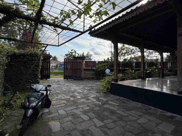 place photo 17