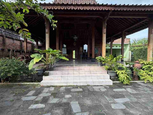 place photo 22