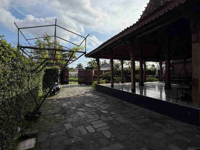 place photo 26