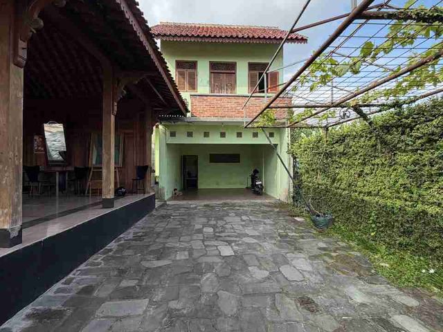 place photo 27