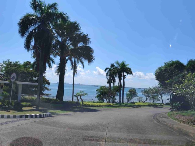 place photo 41