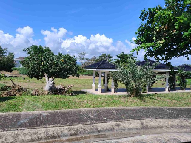 place photo 29