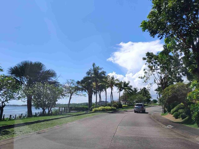 place photo 36